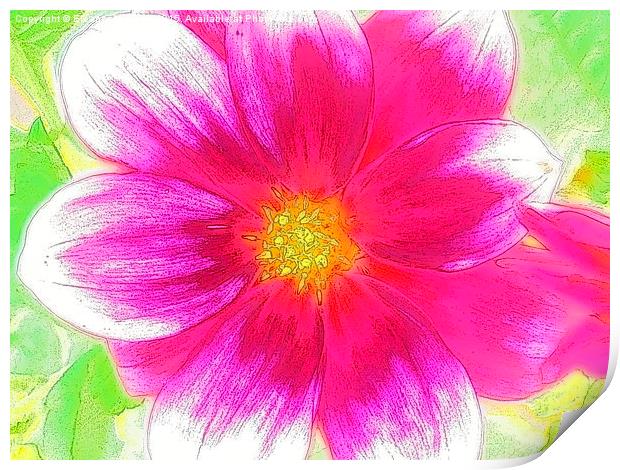  Sweet Sweet Candy Pink Summer Flower Print by Eleanor McCabe