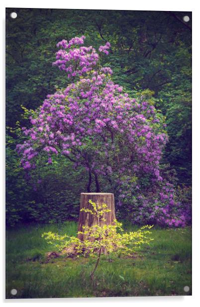  Purple Beauty Acrylic by Svetlana Sewell
