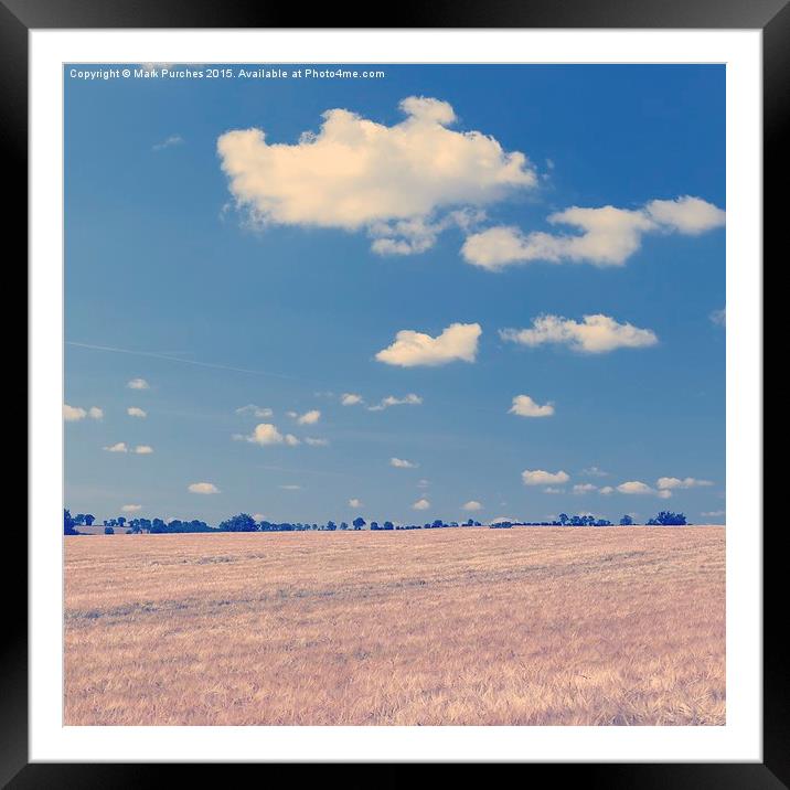 Large Barley Field & Blue Sky Instagram Square Framed Mounted Print by Mark Purches
