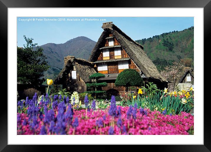  Traditional house, Shirakawa-go, Japan Framed Mounted Print by Peter Schneiter