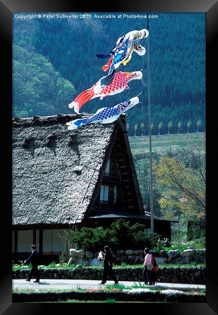  Traditional house, Shirakawa-go, Japan Framed Print by Peter Schneiter