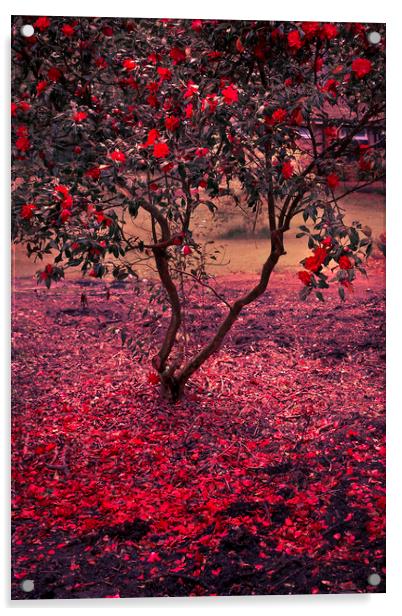  Bleeding Tree Acrylic by Svetlana Sewell