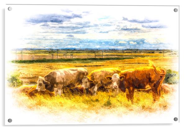 The Friendly Cows Art Acrylic by David Pyatt