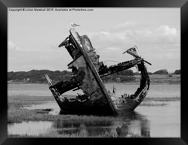 Decommissioned Trawler. Framed Print by Lilian Marshall