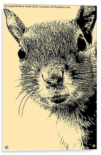 Squirrel Lithograph Acrylic by Steve Smith