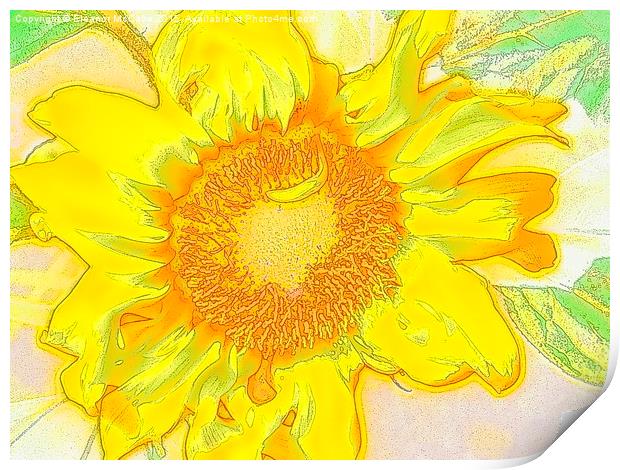  Summer Sunshine Clock Print by Eleanor McCabe