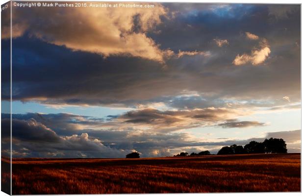 Cotswolds Barley Field & Sunset Canvas Print by Mark Purches