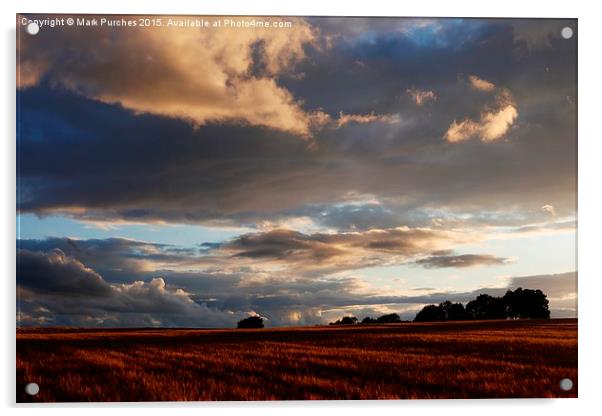 Cotswolds Barley Field & Sunset Acrylic by Mark Purches