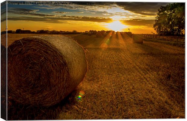  Making hay whilst the sun shines Canvas Print by richard sayer
