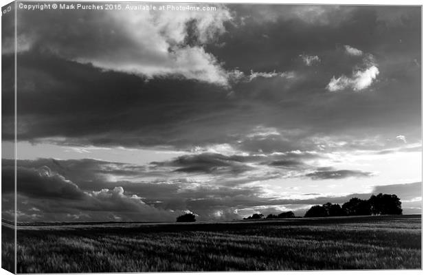 Cotswolds Barley Field & Clouds Sunset Black & Whi Canvas Print by Mark Purches