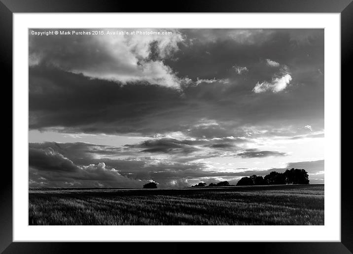Cotswolds Barley Field & Clouds Sunset Black & Whi Framed Mounted Print by Mark Purches