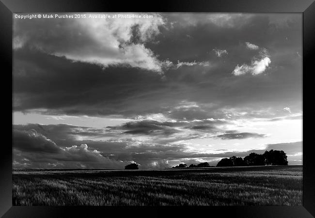 Cotswolds Barley Field & Clouds Sunset Black & Whi Framed Print by Mark Purches
