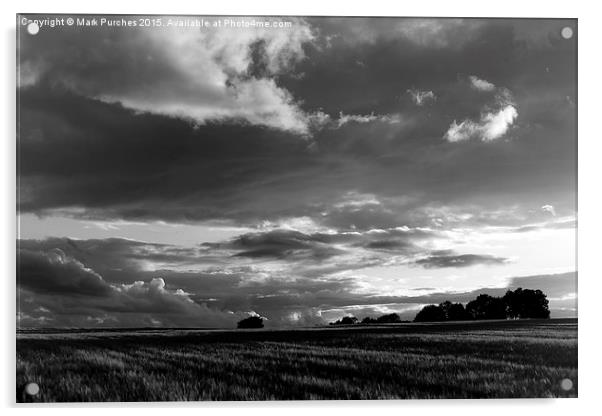 Cotswolds Barley Field & Clouds Sunset Black & Whi Acrylic by Mark Purches