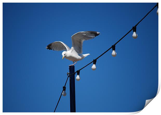 SEAGULL ON THE SEAFRONT ! Print by Ray Bacon LRPS CPAGB