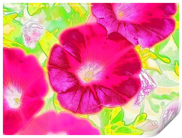  Summer Raspberry Beauty Print by Eleanor McCabe