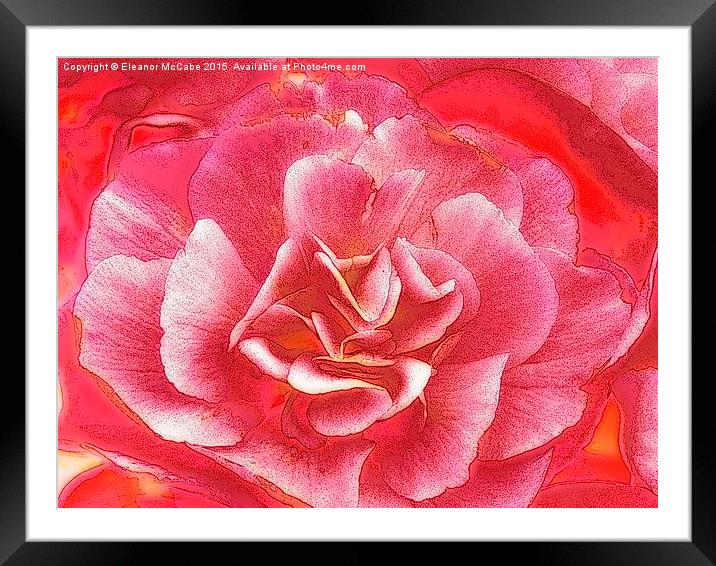  Creamy Raspberry Delight Framed Mounted Print by Eleanor McCabe