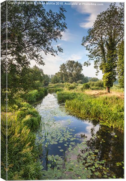 Constable Country 2 Canvas Print by Colin & Linda McKie