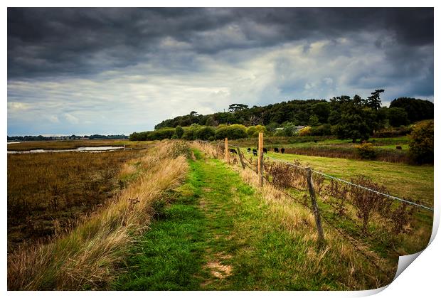   Ramsholt Landscape Print by Svetlana Sewell