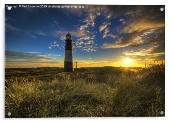  Spurn Lighthouse Acrylic by Neil Cameron