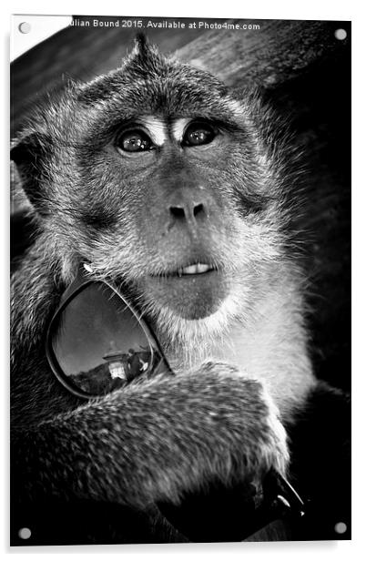   Monkey of Bali Acrylic by Julian Bound