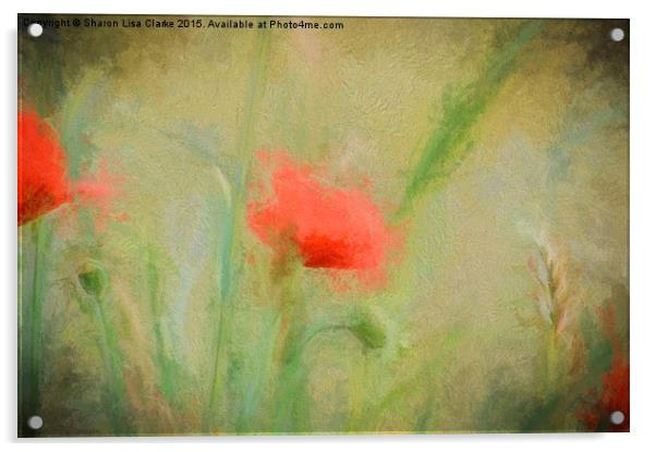  Poppy dream Acrylic by Sharon Lisa Clarke