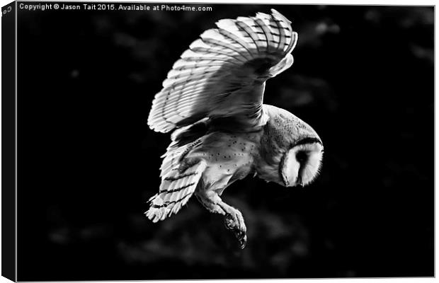  Mono  Barn Owl in Flight Canvas Print by Jason Tait