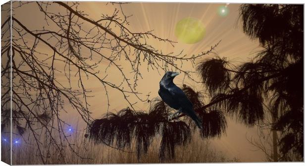  Night Call of the Raven. Canvas Print by Heather Goodwin