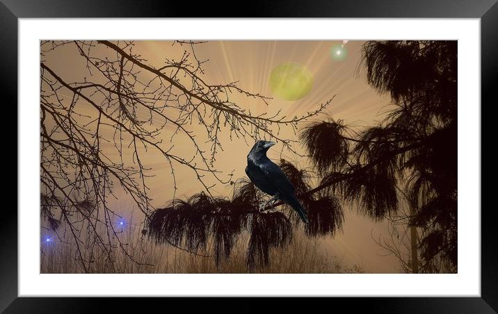  Night Call of the Raven. Framed Mounted Print by Heather Goodwin