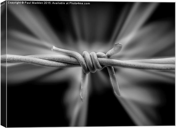 Barbed Wire Canvas Print by Paul Madden