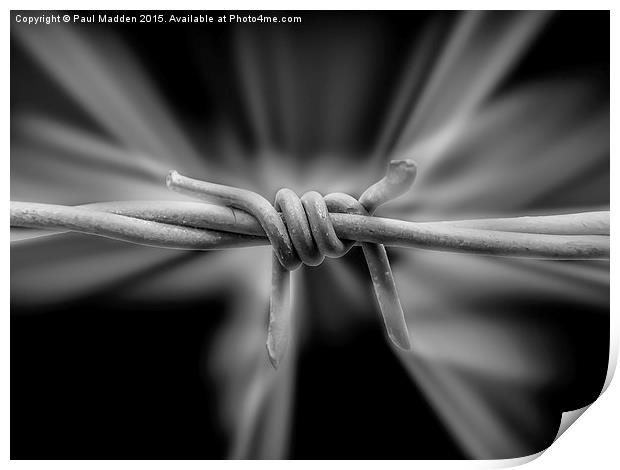 Barbed Wire Print by Paul Madden
