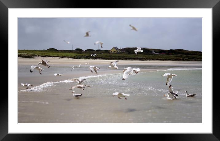  Together Framed Mounted Print by Ged O'ConnorChalli