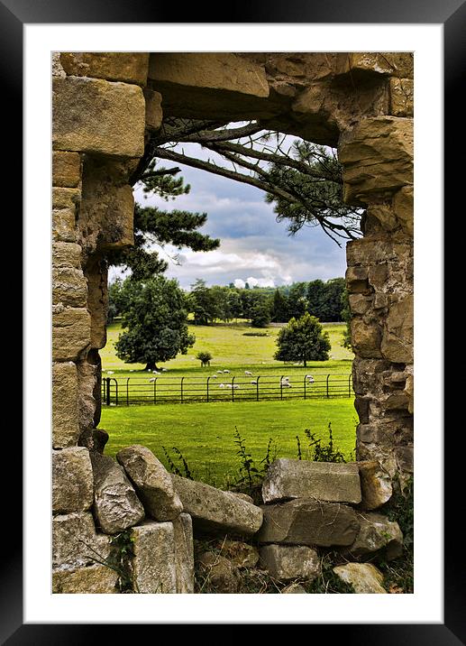  The View Beyond Framed Mounted Print by Colin Metcalf