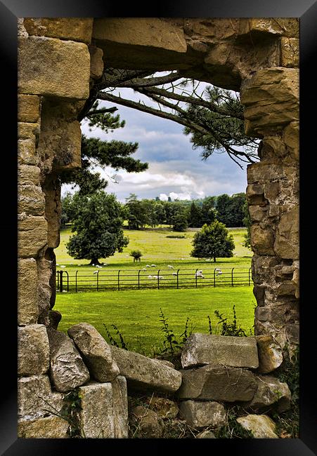  The View Beyond Framed Print by Colin Metcalf
