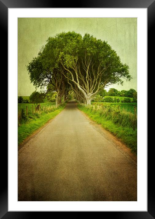  Country Road Framed Mounted Print by Svetlana Sewell