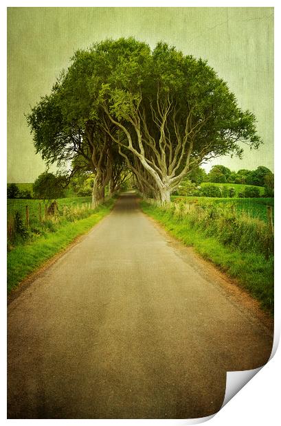  Country Road Print by Svetlana Sewell