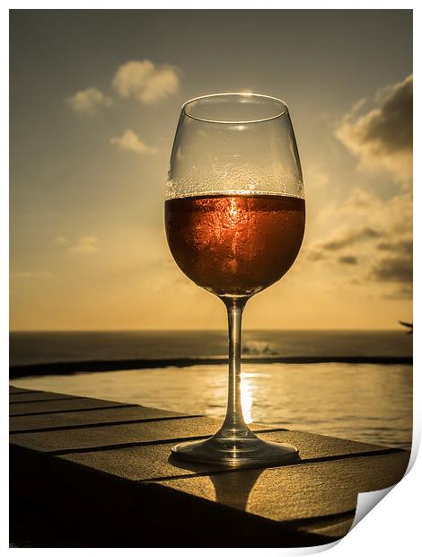 Glass of Rose wine Print by Gail Johnson