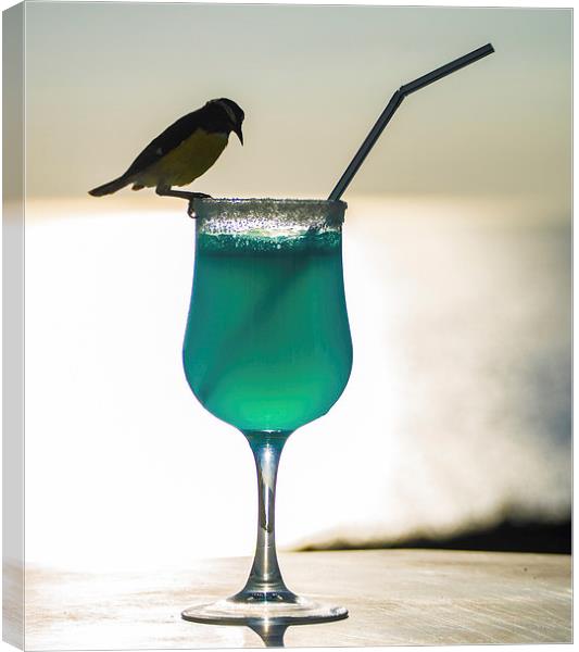 Blue Curacao Drink and a brid Canvas Print by Gail Johnson
