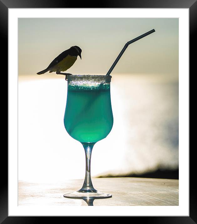 Blue Curacao Drink and a brid Framed Mounted Print by Gail Johnson
