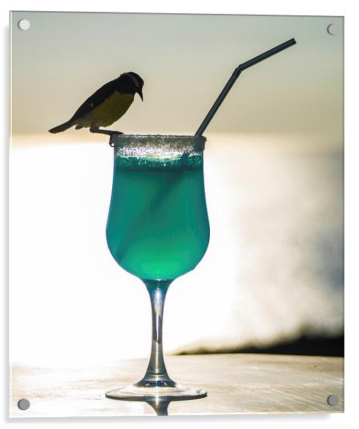 Blue Curacao Drink and a brid Acrylic by Gail Johnson