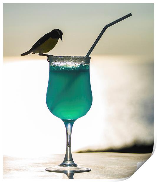 Blue Curacao Drink and a brid Print by Gail Johnson
