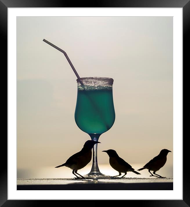 Blue Curacao Drink and birds Framed Mounted Print by Gail Johnson