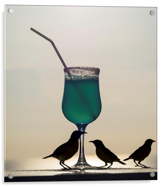Blue Curacao Drink and birds Acrylic by Gail Johnson