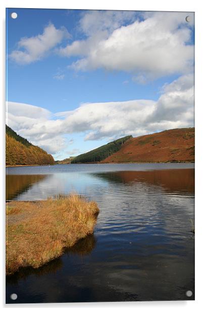 Welsh Reservoir Acrylic by Will Murphy