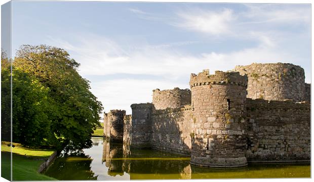  Beaumaris Castle, Anglesey Canvas Print by Andy Heap