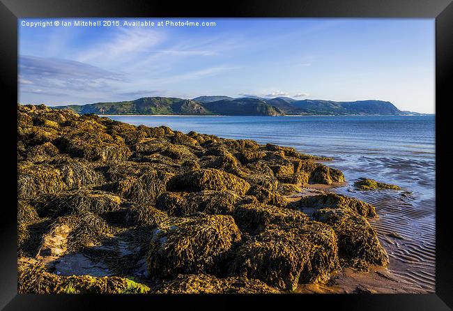 West Shore  Framed Print by Ian Mitchell