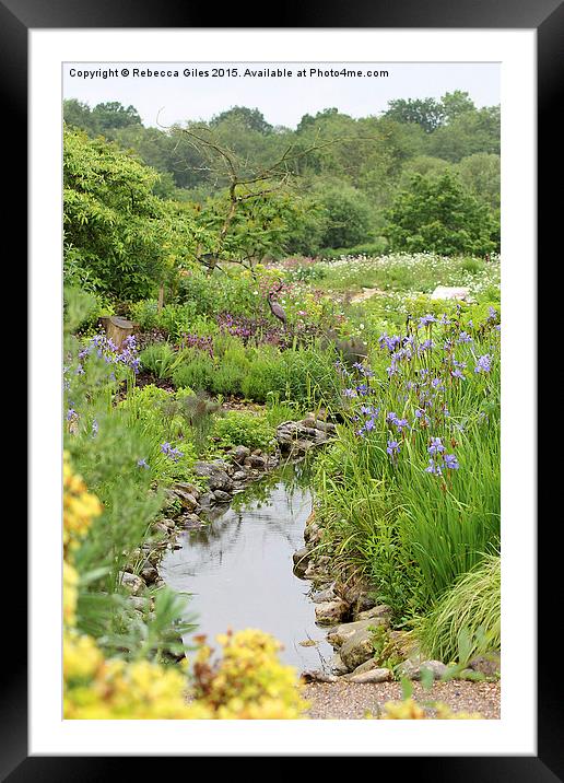  Pond Framed Mounted Print by Rebecca Giles
