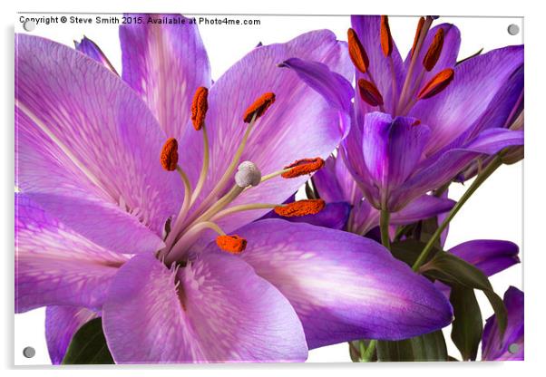 Purple Lillies Acrylic by Steve Smith