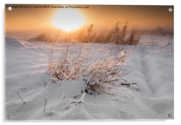 Winter Sunset Acrylic by Danny Callcut