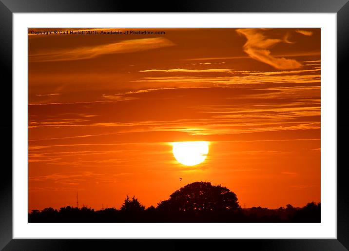  glowing sunset Framed Mounted Print by Carl Harlott