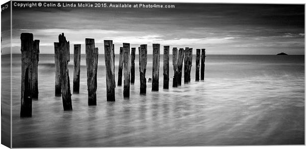 Old Jetty Pilings Dunedin New Zealand Canvas Print by Colin & Linda McKie